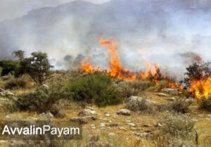 هشدار مدیرکل منابع طبیعی خراسان رضوی نسبت به افزایش خطر حریق در مراتع